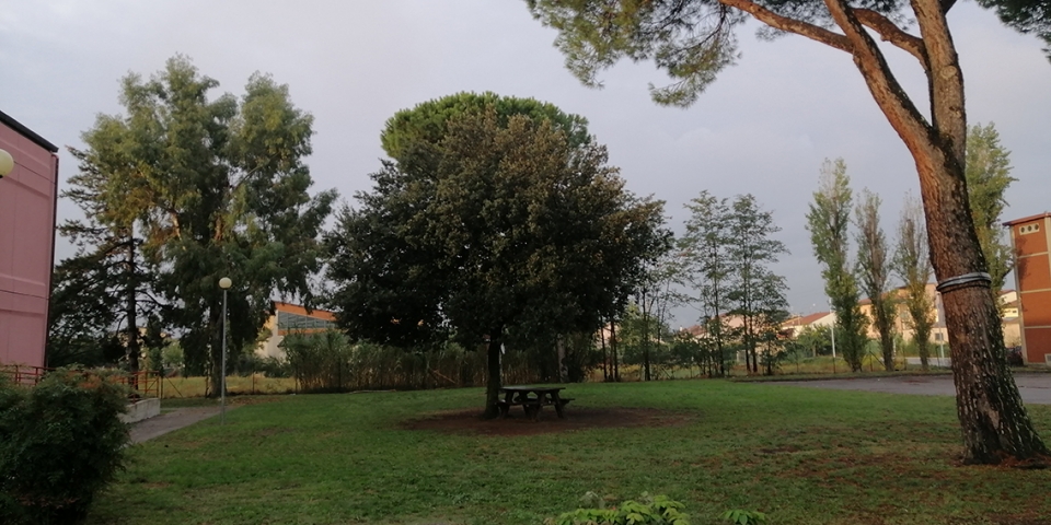 Foto Giardino Esterno Scuola Primaria Rodari – Viaccia